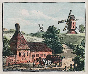 Hertfordshire Countryside Stampe: Ware, c1910