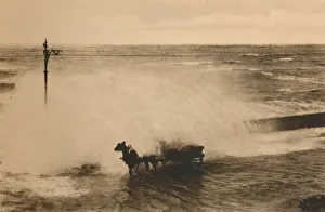 Flanders Landscape Photography Stampe: In a Wave, c1928