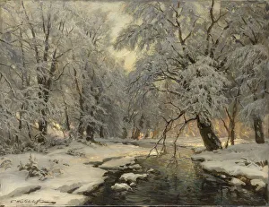 Hoarfrost On Trees Stampe: Winter in the Forest, c1930