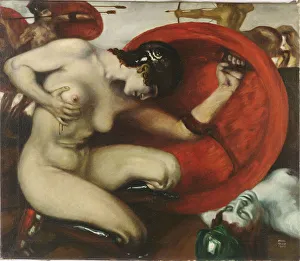 Allegory In Literature Artwork Stampe: Wounded Amazon