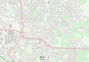 RG - Lettura Stampe: Foresta di Bracknell RG12 2 Mappa