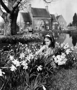 00031 Stampe: Lord Bath a casa sua con la figlia Lady Silvy Thynne (6). Aprile 1965 P017138