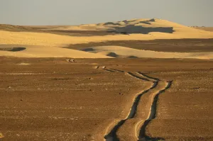 Desert Landscape Namibia Africa Stampe: Desert