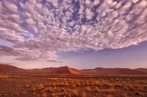 African Desert Landscapes Images Stampe: Desert