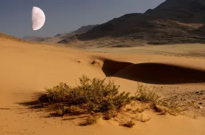 Stampa con cornice : Desert. Dune di Sabbia, Safari Wilderness di Serra Cafema al fiume Kunene
