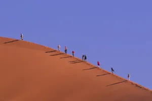 Namibia Stampe: Desert