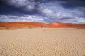 Namibia Stampe: Desert