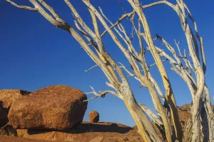 Namibia Stampe: Namibia