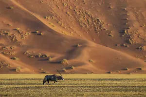 Namibia