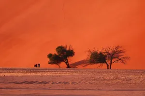 Namibia