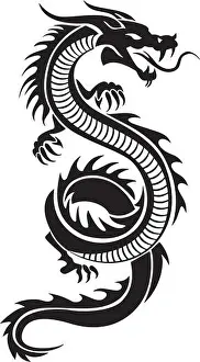 Disegno vettoriale del drago.