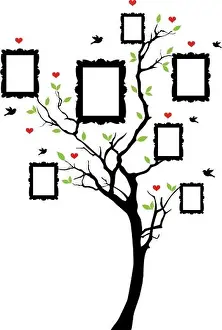 Albero genealogico con cornici, vettoriale.