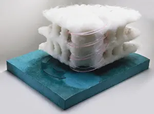 Stampa con cornice : Modello di uragano Stampa con cornice : Modello di uragano