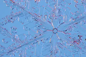 Fogliolina di neve ingrandita al microscopio.