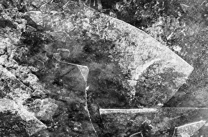 Primary Elements Of Nature Stampe: Ice