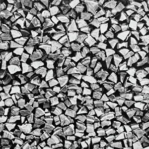 Woodland Scenery Stampe: Wood