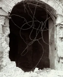 Barbed Wire Fence Stampe: Barbed wire