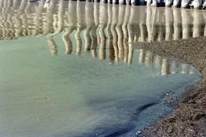 Primary Elements Of Nature Stampe: Cecina Bathing