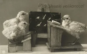 Bird Communication Stampe: Chicks at school