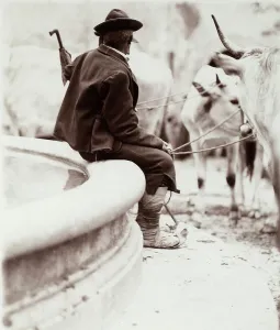 Rural Italy Photography Stampe: Farmer