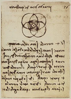 High Renaissance Drawings Stampe: Geometric study on the intersection of circles and squares
