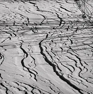Natural Elements Photography Stampe: Ground