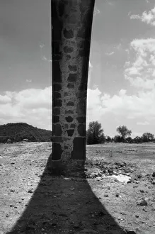 Historic Building Elements Stampe: Masonry arch