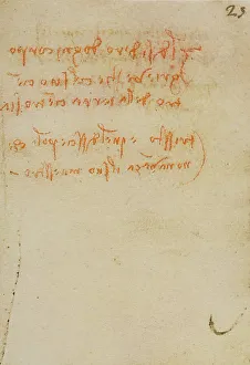 High Renaissance Artwork Stampe: Reflections and notes, writings from the Codex Forster III