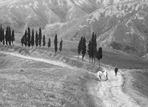 Country Road Landscape Photography Stampe: Returning from the fields