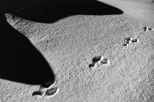 Atmospheric Winter Landscapes Stampe: Shadow on the snow