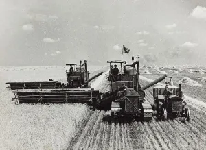 Farming Equipment Stampe: Threshing