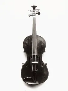 Music Instrument Images Stampe: Violin