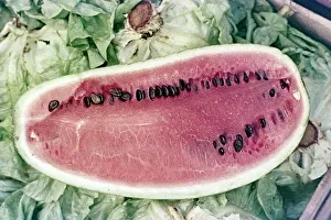Summer Fruit Photography Stampe: Watermelon