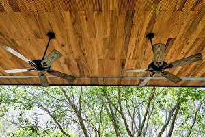 Architectural Detail Stampe: Detail of fans on a ceiling
