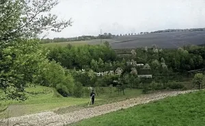 Wietsche