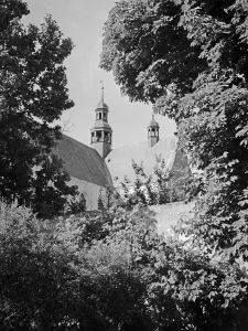 Baltic Sea Coast Photography Stampe: Danzig