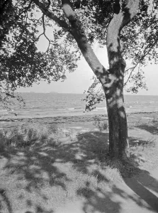 German Baltic Coast Stampe: Danzig