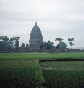 Giava/Indonesia