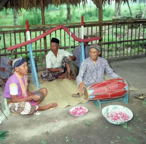 Giava/Indonesia