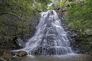 Deserted Village Landscape Stampe: 39 Steps Falls, waterfall in Hogsback