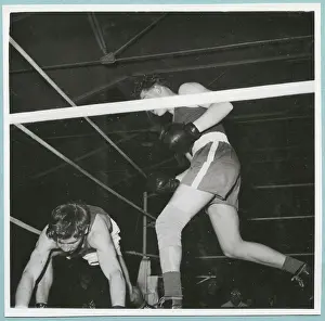 Boxing Ring Scene Stampe: Boxing
