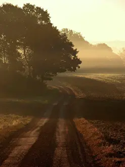 Stampe di Fall Maggio Stampe: Fall