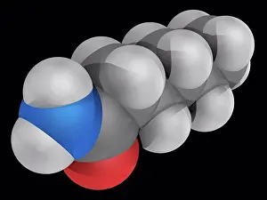 Stampe di Ester amide di capronamide, modello molecolare. Composto organico, amide. Reagisce con composti azo e diazo per generare gas tossici. Gli atomi sono rappresentati a' Maggio Stampe: Ester amide capronamide, modello molecolare.