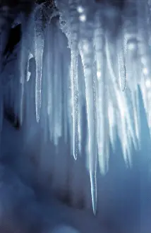 Stampe di Icicle Maggio Stampe: Icicle