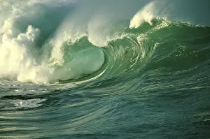 2000 Stampe: Licenza questo immagine a.