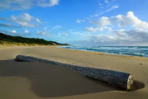 Blue Skies Africa Stampe: Mabibi