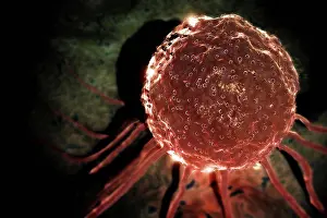 Biomedical Science Images Stampe: Microscopic styled view of a stem cell