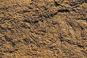 Empty Rock Formations Stampe: Natural rock or Stone surface as background texture