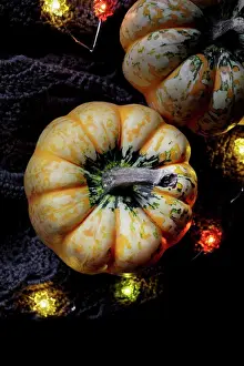 Dark Background Still Life Photography Stampe: Pumpkin
