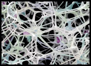 Scanning Electron Microscope Image Stampe: Micro-structure of Magic Eraser material, SEM